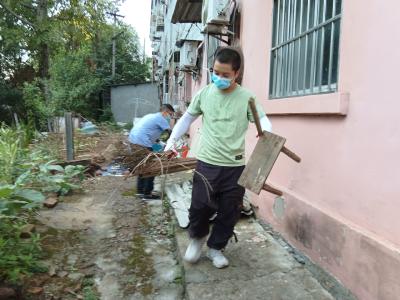 爱卫总动员 共建美家园