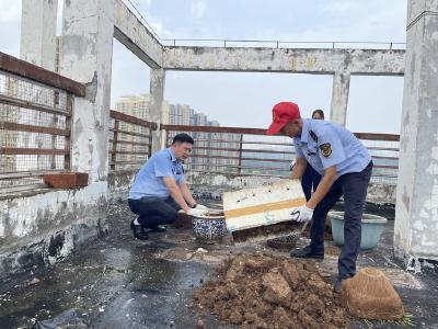 爱卫运动齐行动 清洁环境除蚊虫