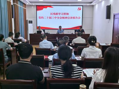 夷陵区残联召开学习贯彻党的二十届三中全会精神宣讲报告会