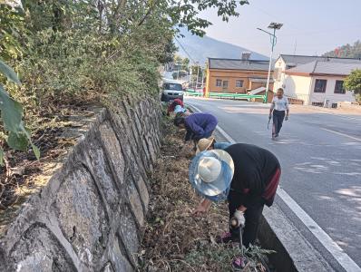 美好生活共同缔造 | “锄草护绿 你我共守” 普溪河村开展除草志愿行动