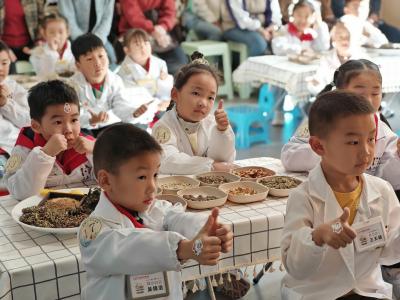 小小中医师 传承大国粹