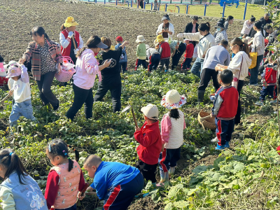 红薯飘香 属你最棒