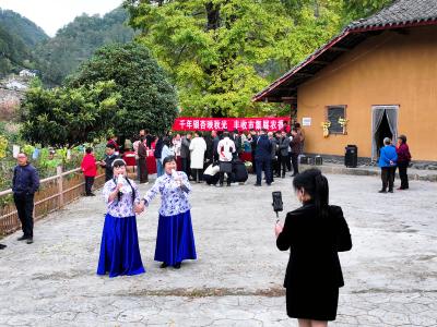 千年银杏映秋光 丰收市集展农香