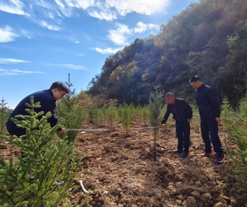 构建法治林业 护牢绿水青山