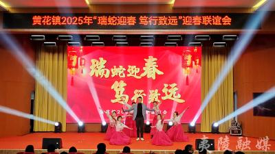 黄花镇举办2025年迎春联谊会