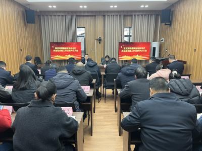 雾渡河镇召开2024年度党组织书记抓基层党建工作述职评议会