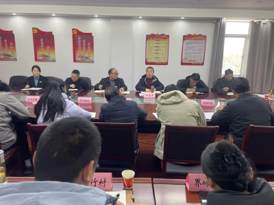 区水利湖泊局召开2025年全区移民工作推进会