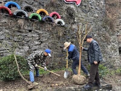 三斗坪镇雾河村开展“植绿护绿 共建美丽乡村”义务植树活动