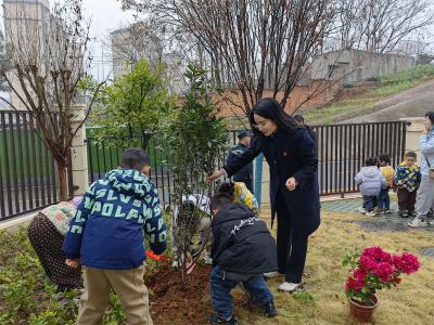 夷陵法院走进辖区幼儿园开展植树节法治宣传活动