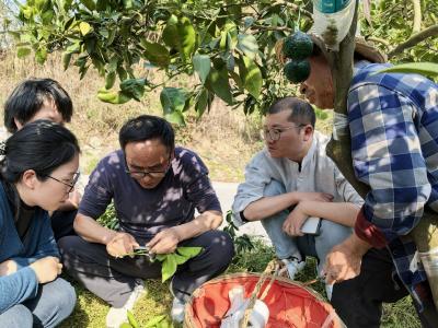 开启田间“练兵”模式，点亮年轻干部成才路