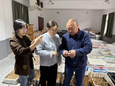 省科技特派员助力下堡坪乡天麻产业高质量发展