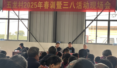 鸦鹊岭镇：树立榜样谋发展 赋能增收促振兴