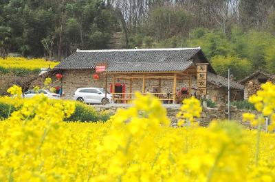 石头农居南岔湾 花开时节景更靓