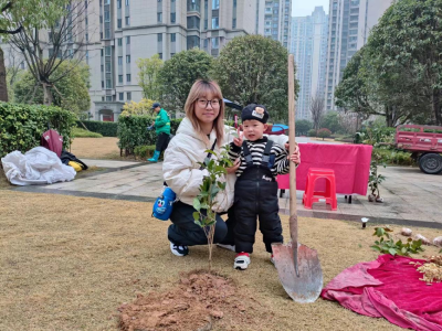 风拂新绿，植树正当时