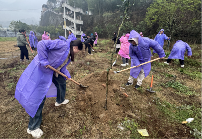 植树添新绿 青春正当时