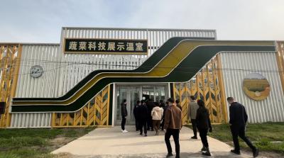 探索江都乡村振兴致富密码