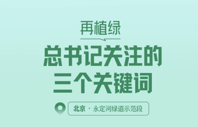 一见·再植绿，总书记关注的三个关键词 