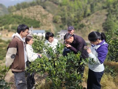 区农技服务中心：科技赋能点亮夷陵“甜蜜经济”