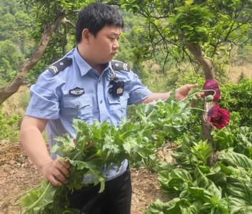 开展春季铲毒 增强全民禁毒意识