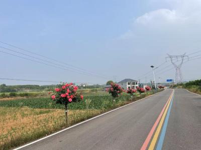 鸦鹊岭镇：整治人居环境 打造美丽乡村