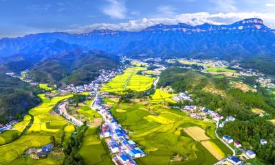 【“支点建设”访谈】分乡镇：实干担当 奋勇争先 打造乡村振兴新范式