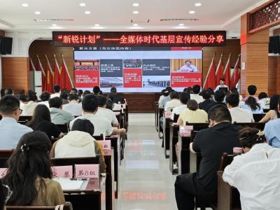 夷陵区鸦鹊岭镇：新锐课堂“干货满”  解锁宣传“新密码”