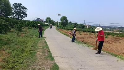 夷陵区鸦鹊岭镇：开展环境卫生整治行动，提升乡村“颜值”