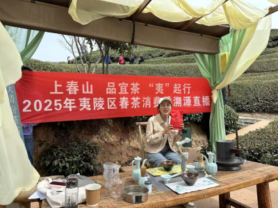 2025年夷陵区线上春茶消费季活动启动