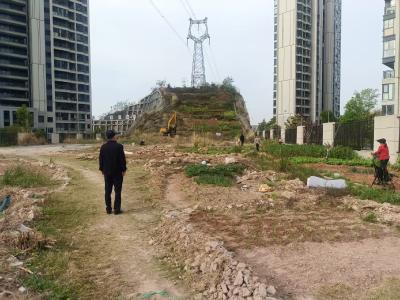 东城试验区整治私垦种菜  保障高压线周边环境安全