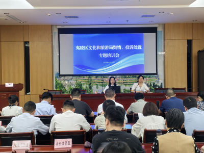 提素质、强支点，激活文旅“青”引擎