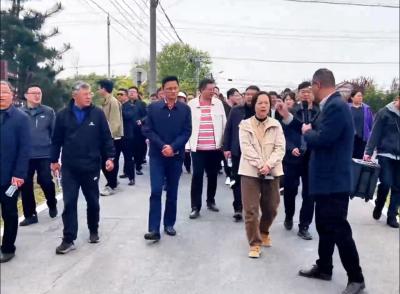 问道长三角 赋能新发展