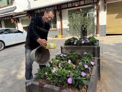 党群携手植绿 共绘乡村新景