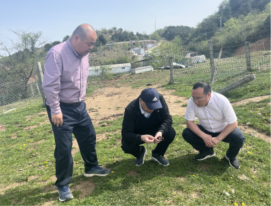 夷陵：科技赋能草牧业高质量发展