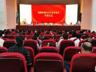 夷陵区鸦鹊岭镇：春训赋新能 奋进正当时