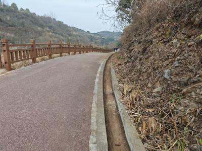焕新沿河步道，共绘生态画卷