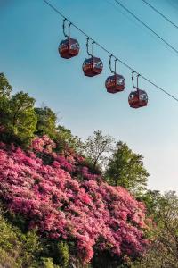 汪文斌发文！武汉这一幕，震撼世界！