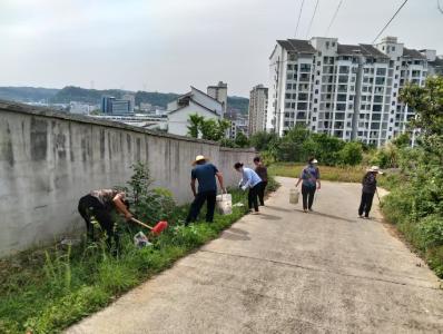 干干净净迎“五一”  乡村道路焕新颜