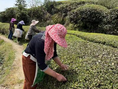云端送岗助春采 惠农专车解企忧