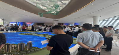 政策赋能促活力，多元活动引热潮