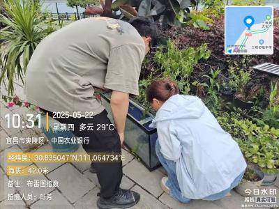 蚊媒监测助力传染病防控