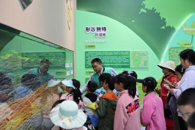保护湿地生态 共筑美丽家园