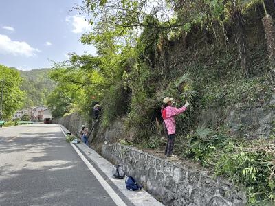樟村坪镇丁家河村：扮靓乡村“风景线”