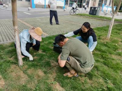 清洁家园 焕然一新