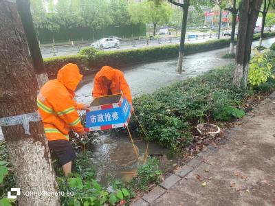 闻“汛”而动显担当 织密防汛“安全网”