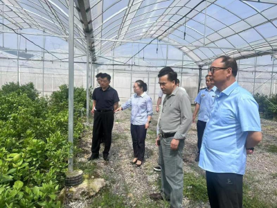 筑牢植物检疫防线，守护农业发展与生态安全