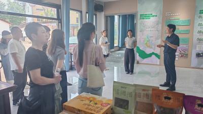 夷陵区鸦鹊岭镇：村社共建谋发展 优势互补促双赢