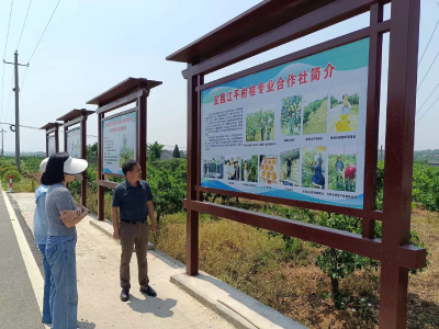 夷陵审计：聚焦“五链一体” 助力夷陵优势产业发展