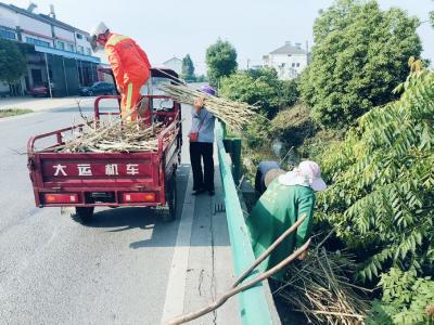 夷陵区鸦鹊岭镇：干群齐心整治环境 绘就生态宜居新画卷