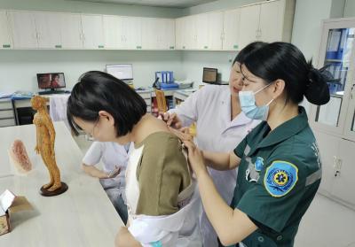 传承中医文化 护航百姓健康