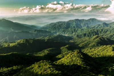 千年鸟道正展翅 人与自然谱新篇——69载守候“候鸟驿站”，翎羽绘出美好家园